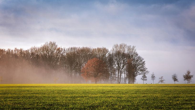 Autumnal image by Anneke Hooijer