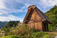 Shirakawa-go : un paysage de rêve du Japon authentique