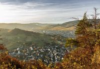 Moseltraum im Herbst