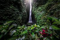 Waterfall in Jungle Bali Leke