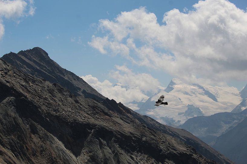 Liberté par I.A. Tomassen