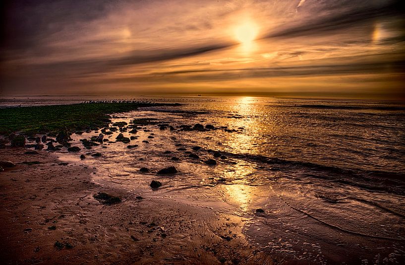 Sunset by the sea by Egon Zitter