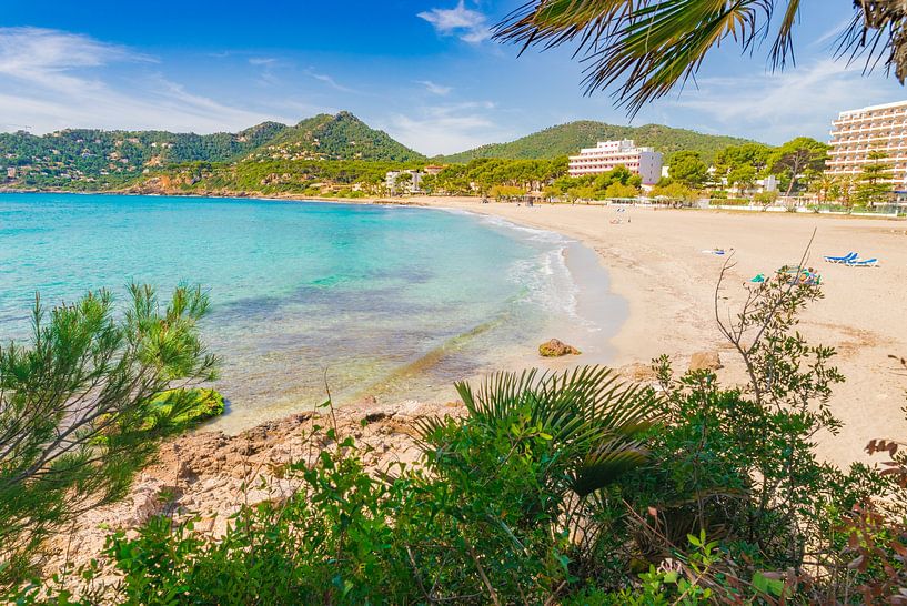 Vue d'une plage de sable au bord de la mer à Majorque, en Espagne, dans les îles Baléares. par Alex Winter