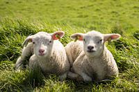 So glücklich zusammen