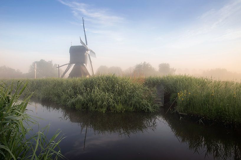 Éclairage par Roelie Steinmann