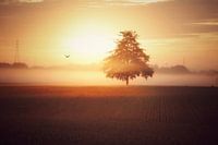 Vlucht naar de eeuwigheid