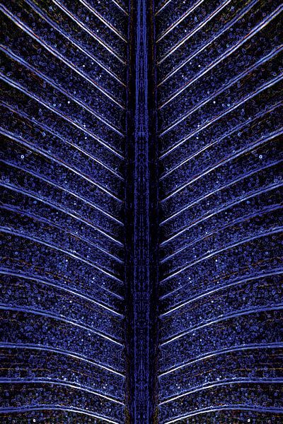 Musa au Clair de Lune par GeeeDeeeBeee