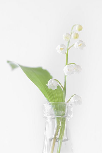 Maiglöckchen von Dalen von Jefra Creations