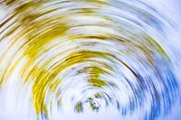 daytrails - zon - boom - draaien - abstracte kunst - groen - blauw