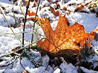 Wenn der Herbst auf den Winter trifft