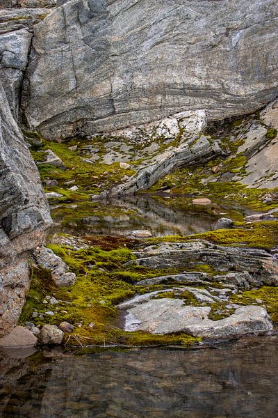 reflection by Sebastian Stef