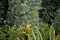 von meiner guten Seite