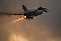 Falcon of the darkness