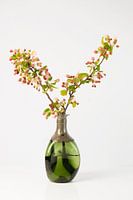 Apple blossom in green glass vase