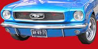 288. Blue Mustang in Red Tide Light