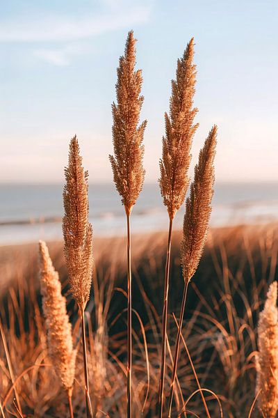 Palmes d'herbe dorée au bord de la mer au coucher du soleil par Imperial Art House