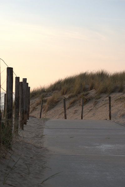 beach exit by Marvin Van Haasen