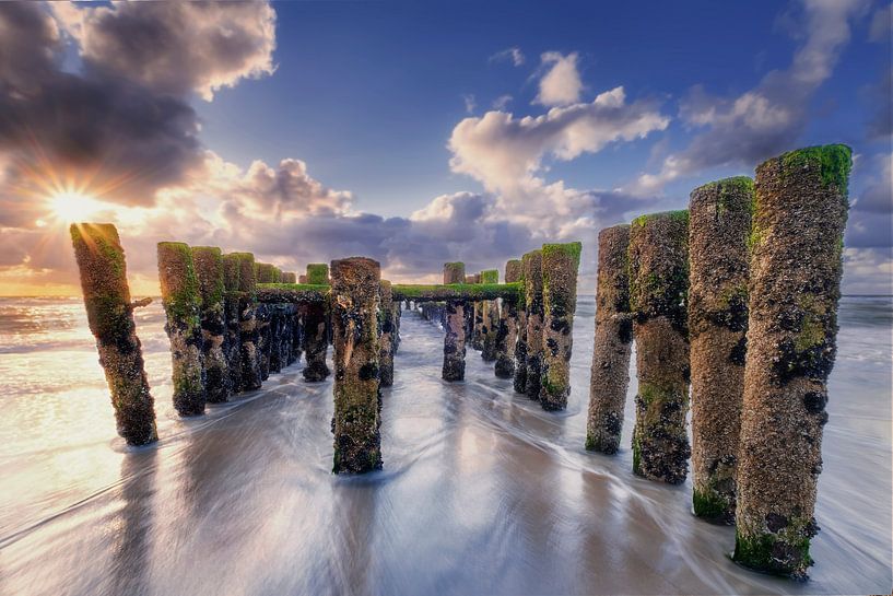 Pile heads by Bram de Jong