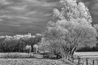 Après une averse de neige.