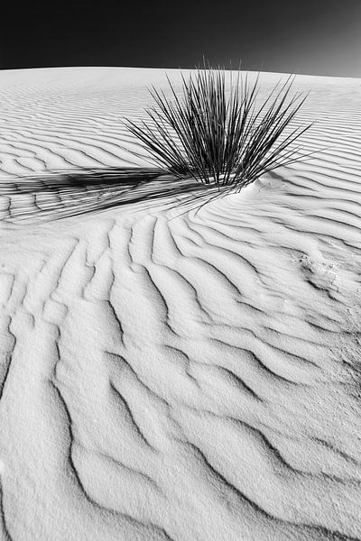 Dünen, White Sands National Monument | Monochrom von Melanie Viola