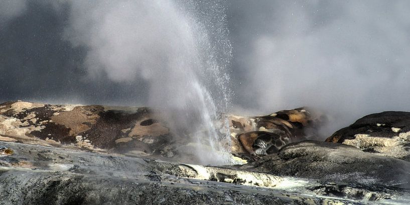 te puia geysire von Stefan Havadi-Nagy