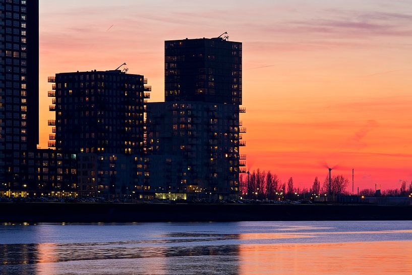 De vier werelden Spijkenisse par Anton de Zeeuw