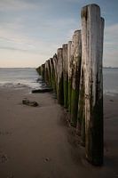 Brise-lames sur la plage de Breskens