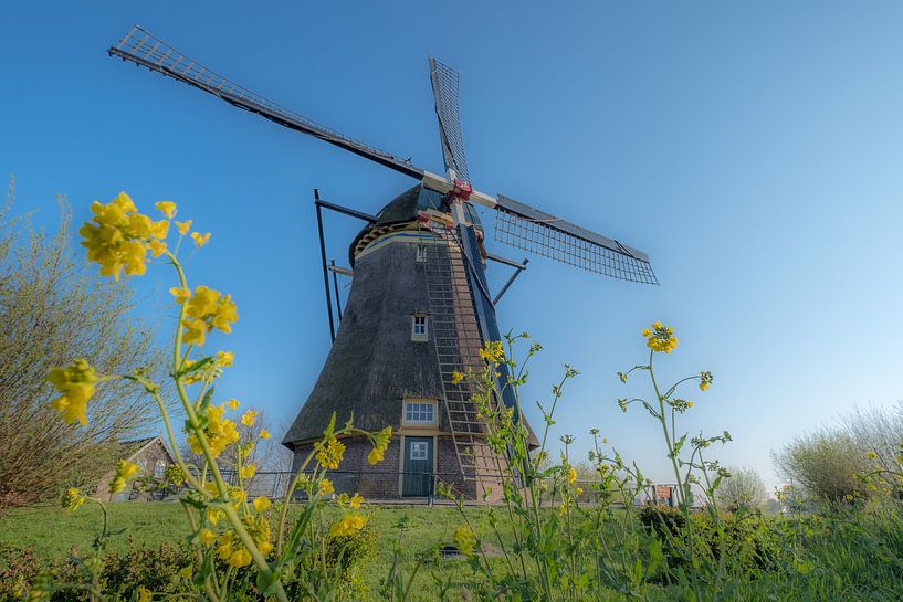 Poldermolen Waardenburg by Moetwil en van Dijk - Fotografie