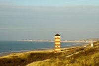 The dunes of Zoutelande as seen from Dishoek