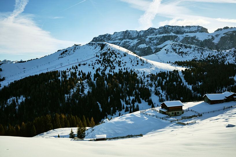 Winter wonderland by Sven Benjamins