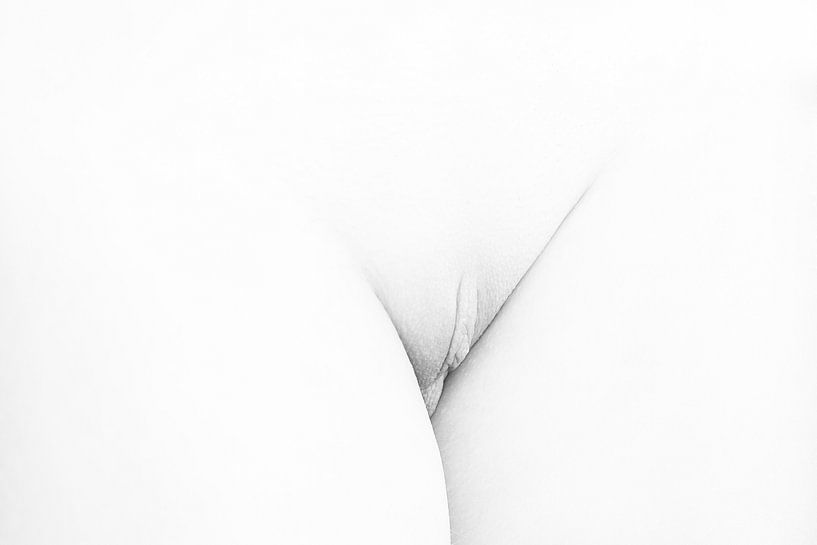 Artistic Vagina Nude in High Key Black and White by Art By Dominic