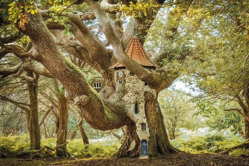 Mit Elfenaugen 22 von Lars van de Goor