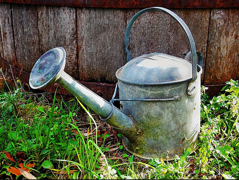 Die alte Gießkanne von Dorothy Berry-Lound