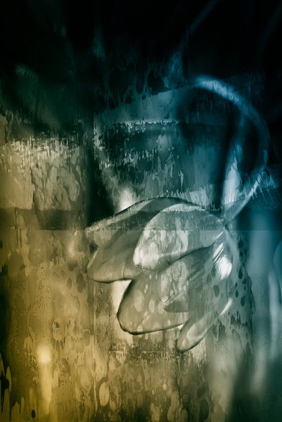 Tulipe néerlandaise abstraite par Ellen Driesse