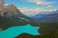Lac Peyto, Alberta Canada