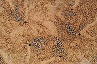 Engraved – The Sand Code