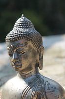 Buddha