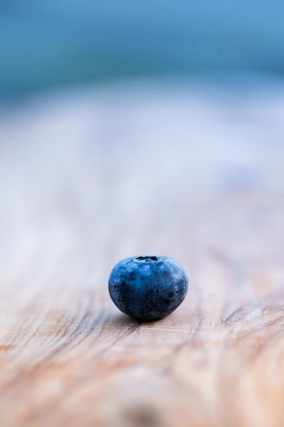 Blaubeere von Jantina Mulder