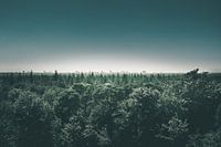 Skyline von Utrecht in der Ferne von der Austerlitz Pyramide aus
