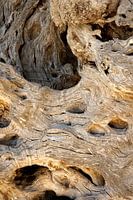 Wenn sie erzählen könnten No.IV