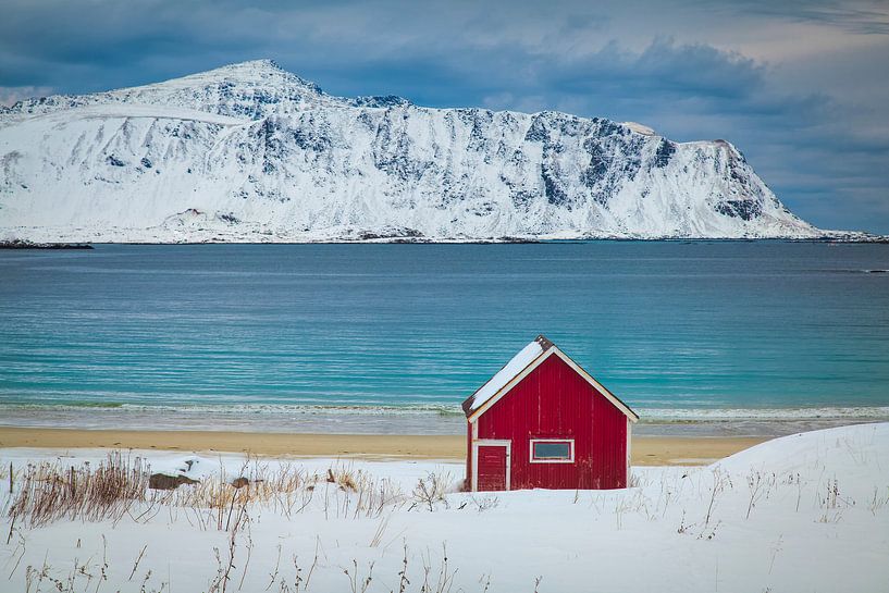 Hübsches Rot ist nicht hässlich von Niels den Otter
