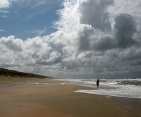 Uitwaaien aan de Nederlandse kust