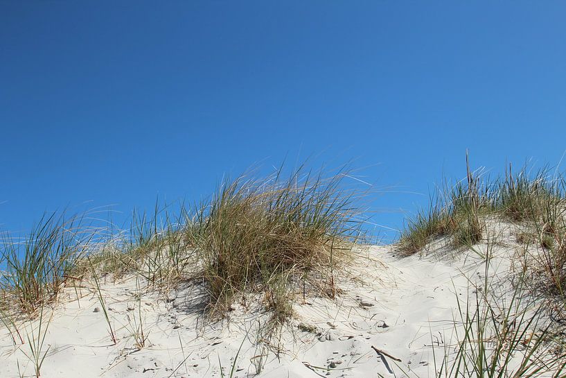 Dünensommer by Heike Hultsch