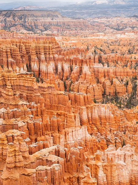 Bryce Canyon par Arnold van Wijk