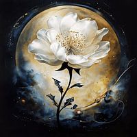 Delicate and complex