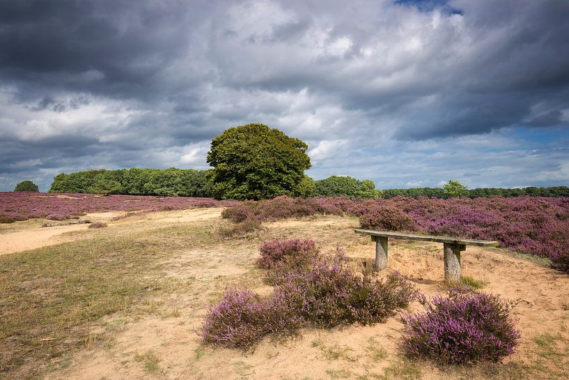 Le banc. par Rob Christiaans