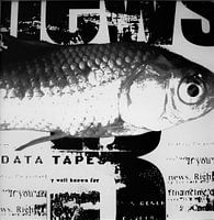 Vis op krantenpapier zwart wit