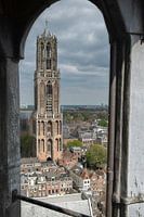Unique view of the Dom tower in Utrecht