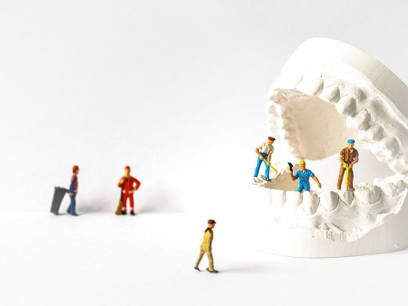 Nous allons le réparer par Lex Schulte