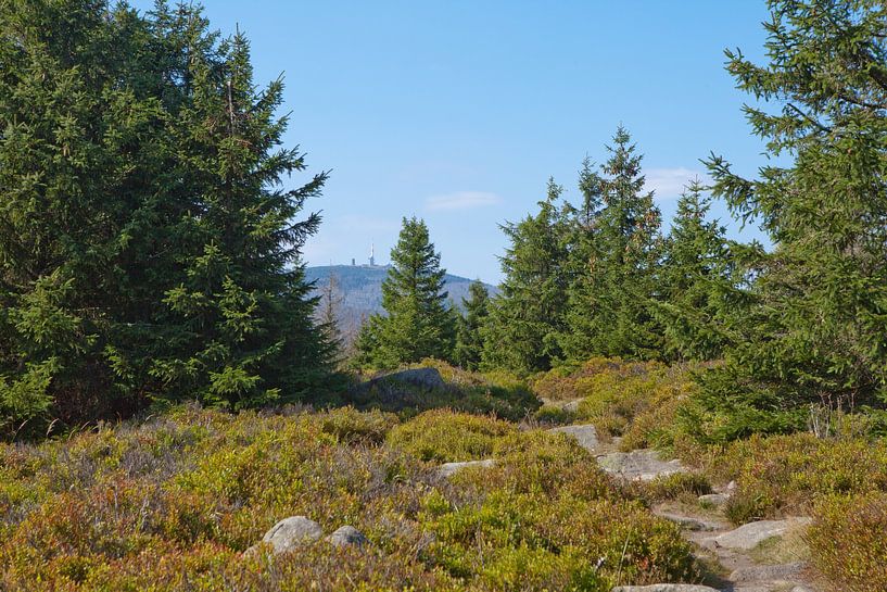 Hiking at the Hohne Cliffs in the Harz Mountains with a view of the Brocken Mountain by t.ART